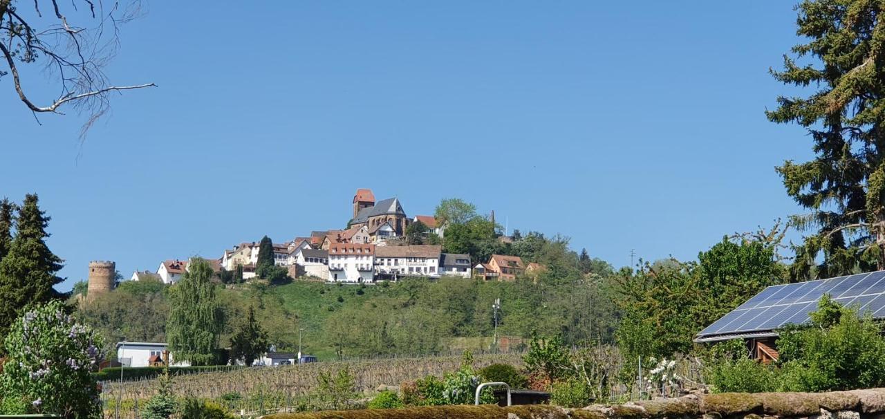 Отель Landgasthaus "Zum Engel" Neuleiningen Экстерьер фото