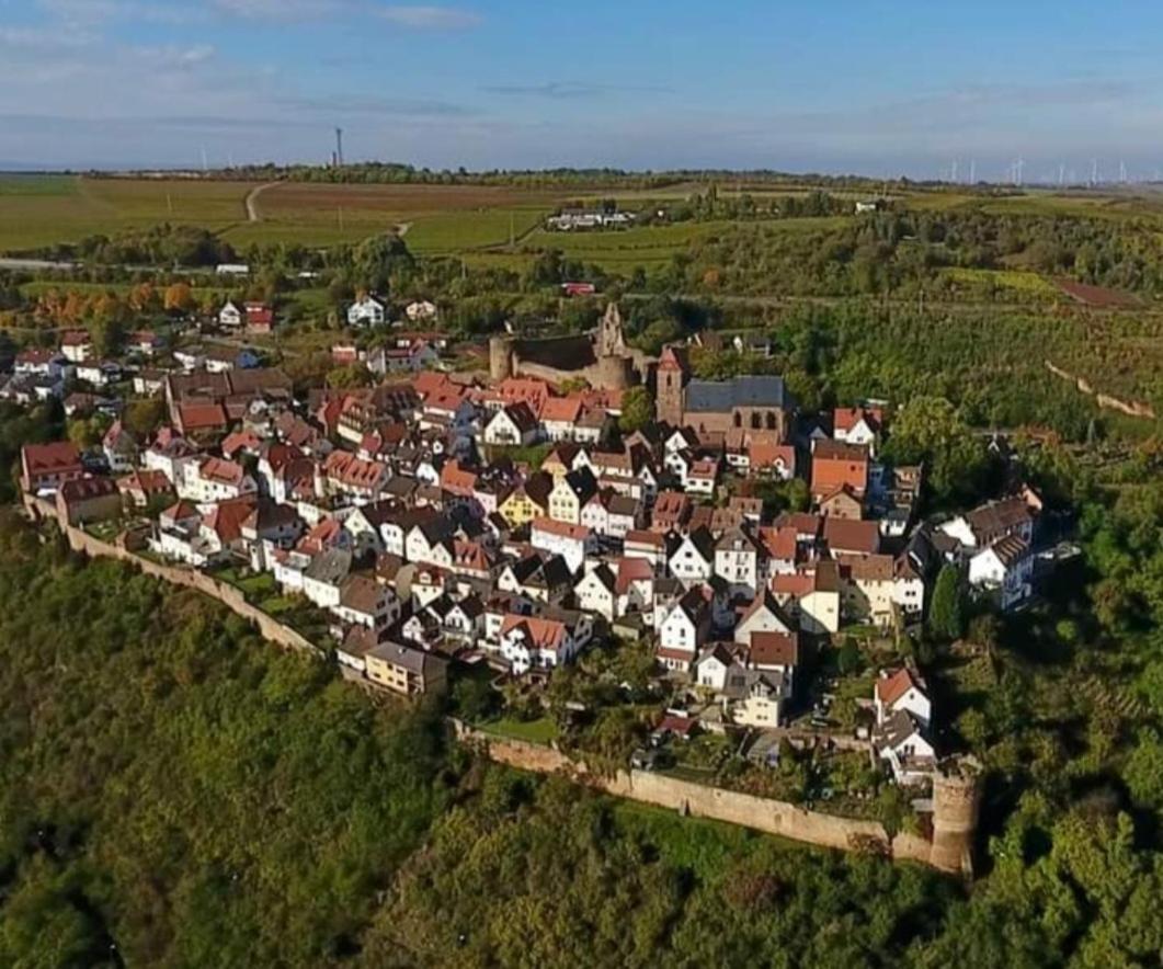 Landgasthaus "Zum Engel" Neuleiningen Экстерьер фото